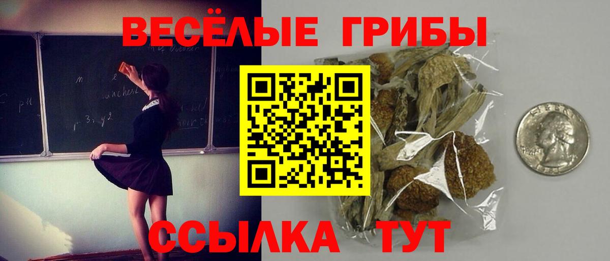 Галлюциногенные грибы GOLDEN TEACHER Новотроицк
