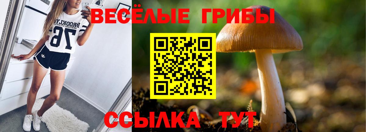 Новотроицк  Псилоцибиновые грибы Magic Shrooms  Вход с VPN 